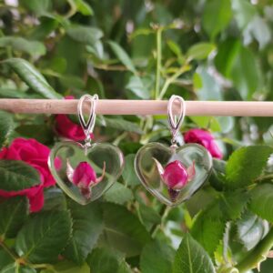 Růže v srdíčku