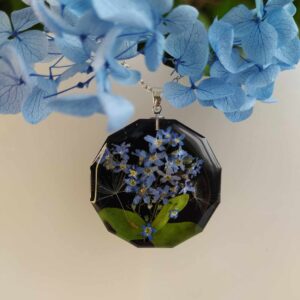 Pomněnky s chmýřím pampelišky