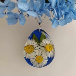 Sedmikrásky v modré kapce